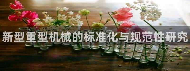 菲律宾的龙八国际输钱