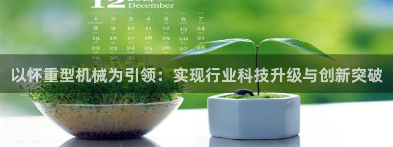 龙八国际华