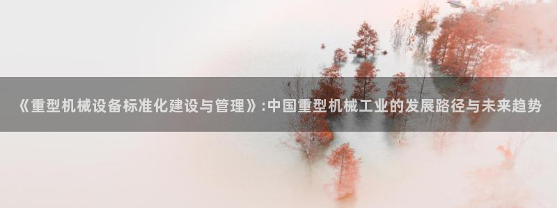 龙八国际图片