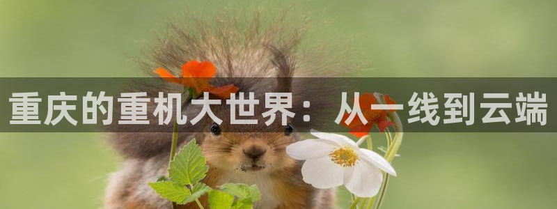龙八国际娱乐官网首页