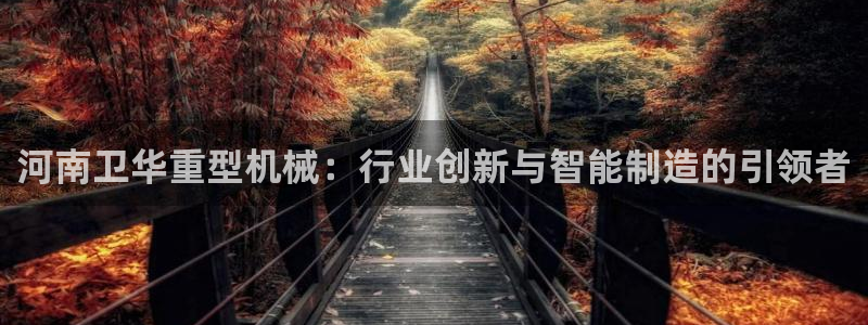 菲律宾龙八国际