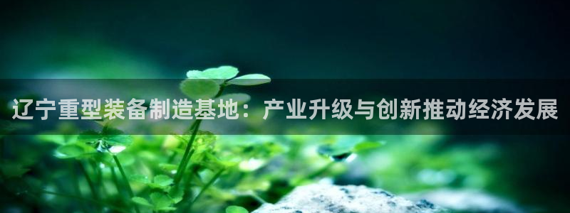 冯文戈 龙八国际集团