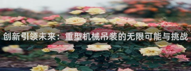 龙八国际服
