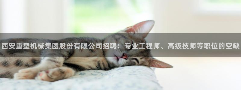 龙八国际服官网下载