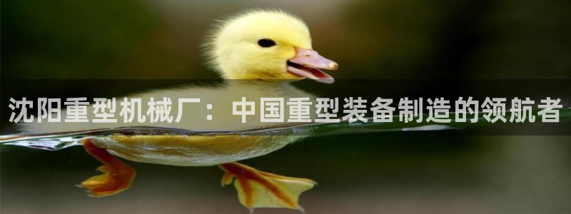 龙八国际玩什么游戏能赢