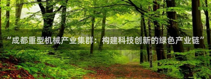 龙八国际娱乐网站多少