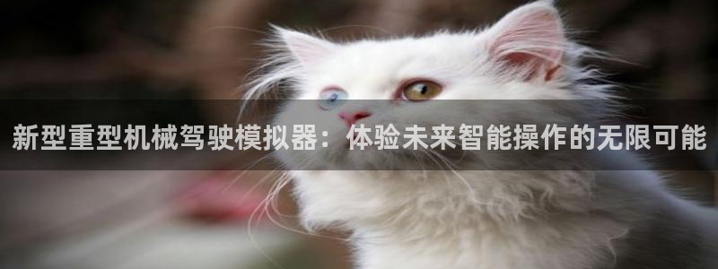 龙八国际app客户下载
