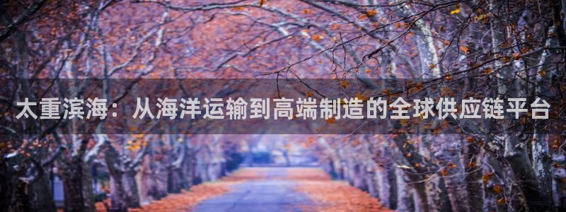 龙八国际2023