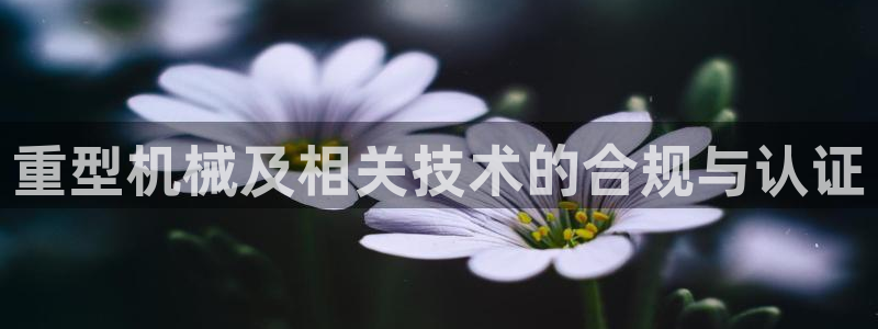 龙八国际zbzszx.com