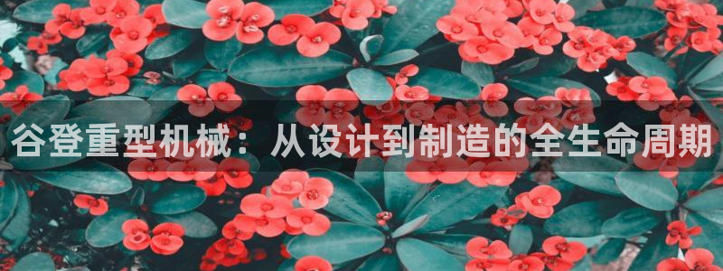 龙八国际官网首页网页版