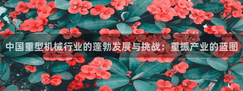 龙八国际服官网入口