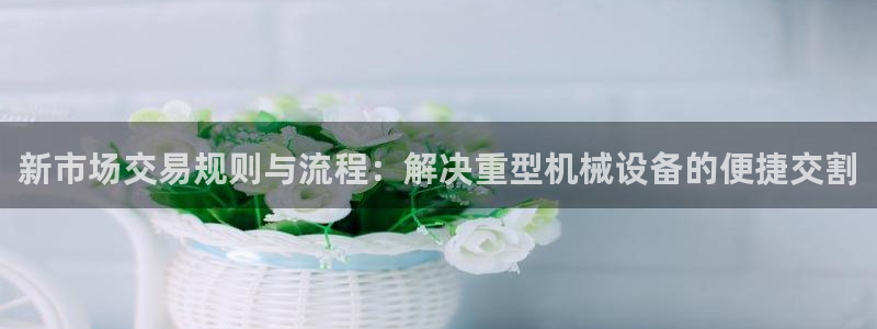 龙八国际手机版