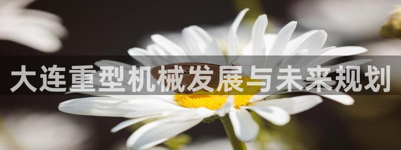 龙八国际有限责任公司