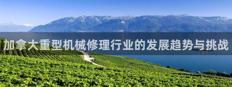 龙八国际是个什么游戏