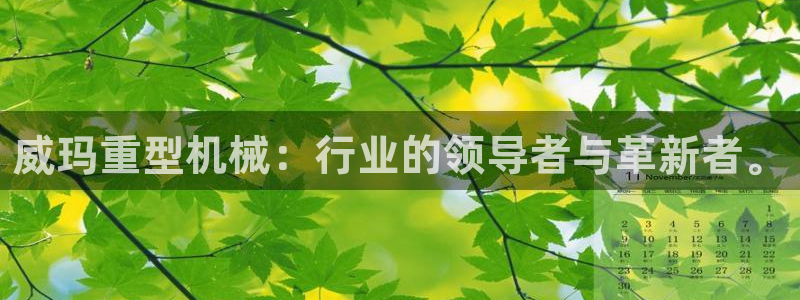 龙八国际在线玩
