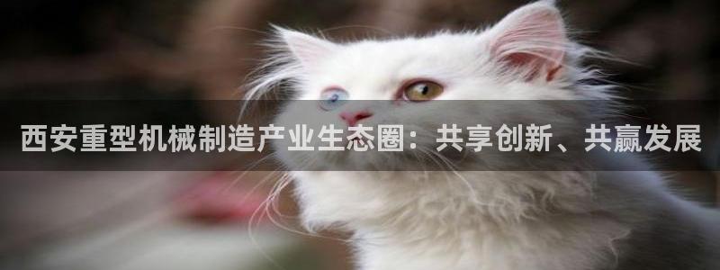 在龙八国际