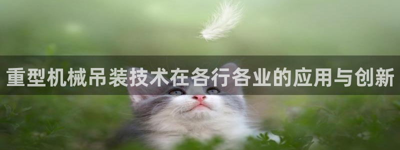 龙八国际 官网