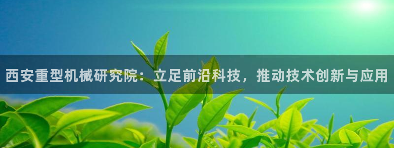 头号玩家龙八国际网址