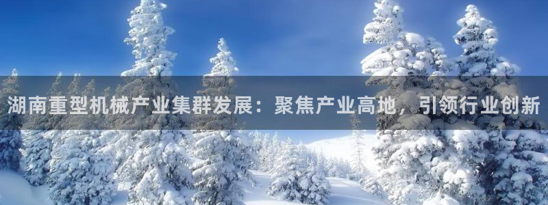 龙八国际官方网站pt