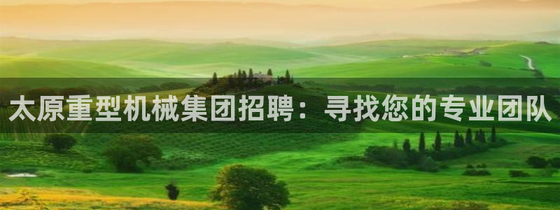 龙八国际最新版本下载