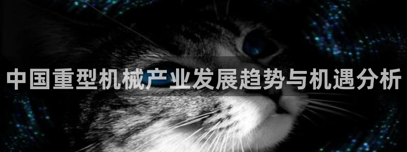 龙八国际娱乐官网手机