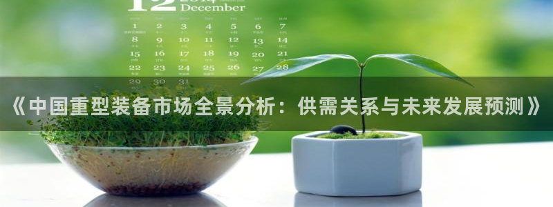 龙八国际彩金购买