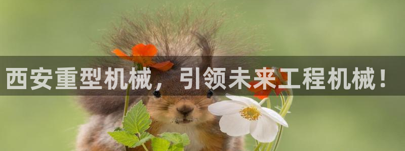 龙八国际在哪里啊
