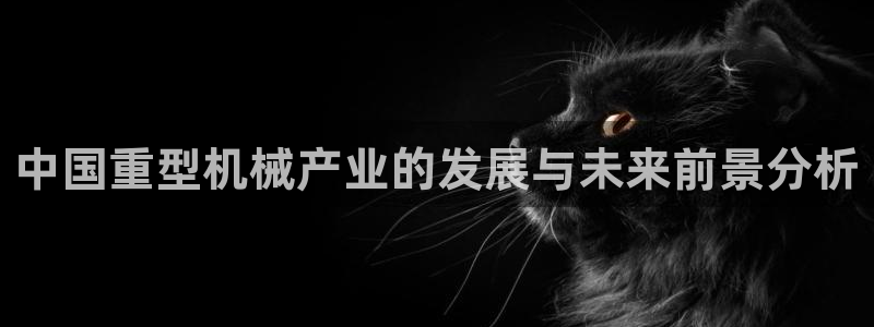 龙八国际代理登陆