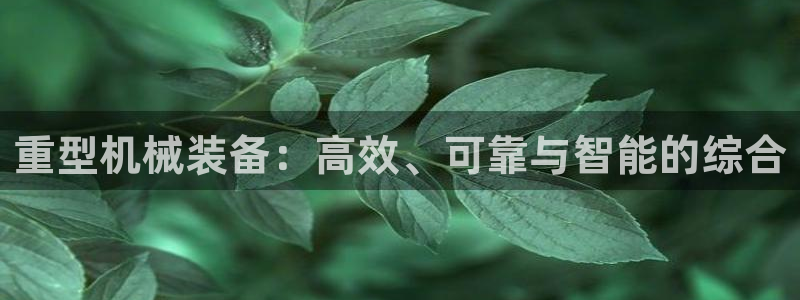 龙八国际mg老虎机