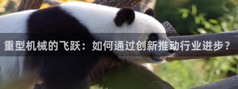 菲律宾龙八国际杀猪