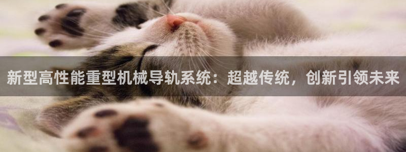 龙八国际app客户端下载手机端