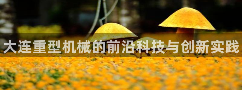 龙八国际娱乐充值