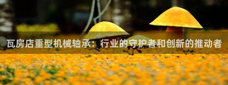 龙八国际b48点tv