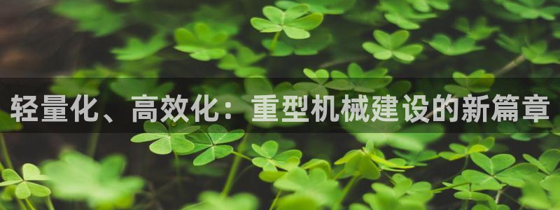 龙八国际官方网站入口