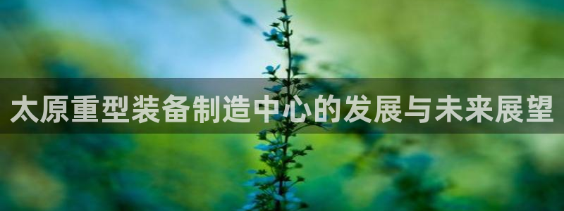 龙八国际网站多少