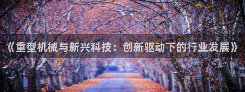 龙八国际视频网站
