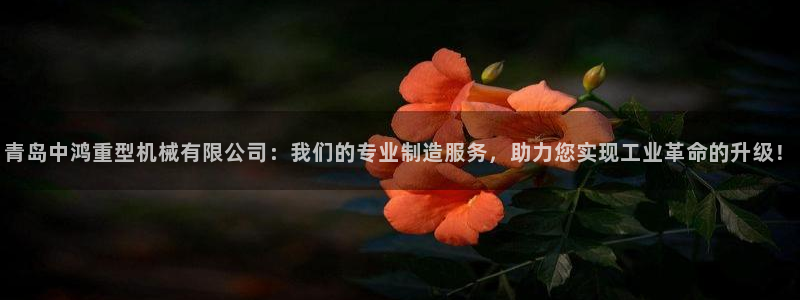 龙八国际官网产品介绍