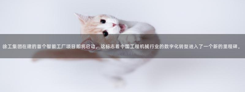 龙八国际app客户端下载手机版
