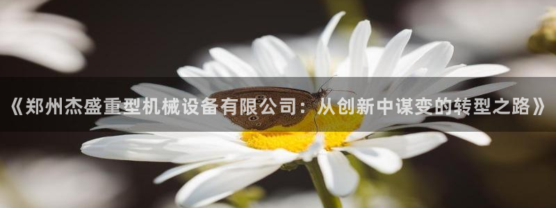 龙八国际不支持苹果手机