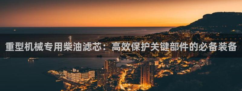 龙八国际