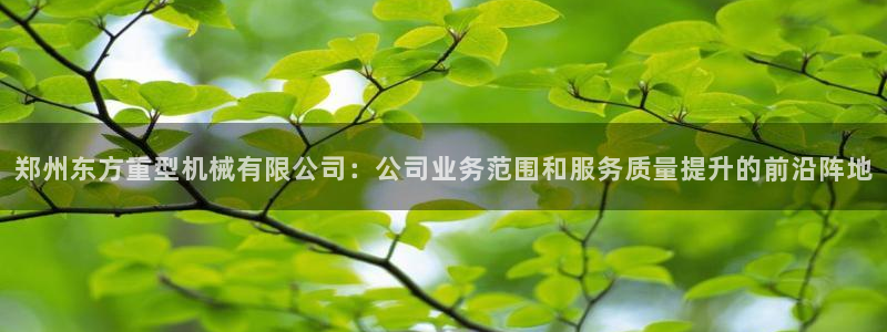 龙八国际娱乐官方