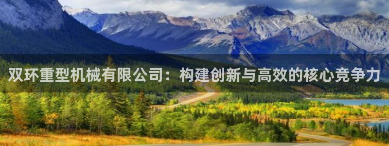 龙八国际手机版下载安装app