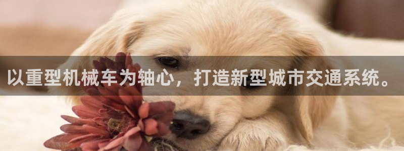 龙八国际娱乐靠谱吗