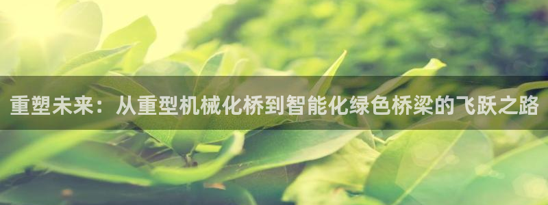 龙八龙八国际