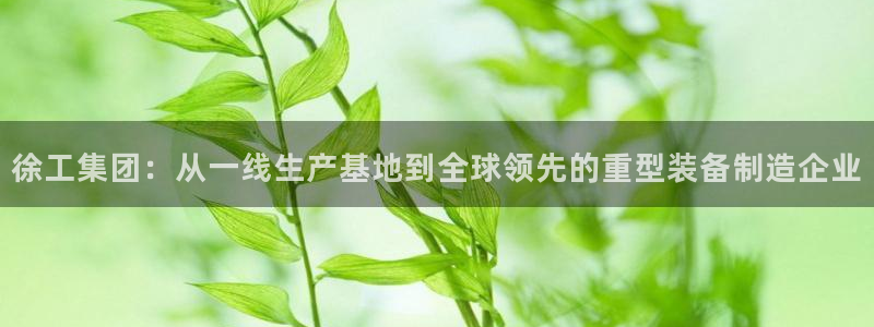 龙八国际app客户端下载不了