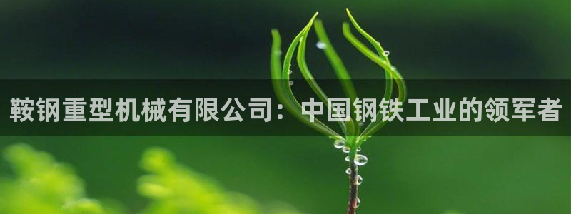 龙八国际平台