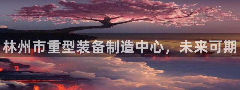 龙八国际股票