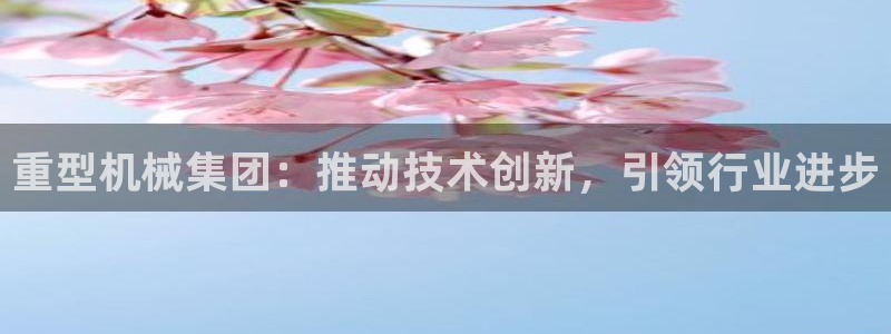 龙八国际娱乐网页多少