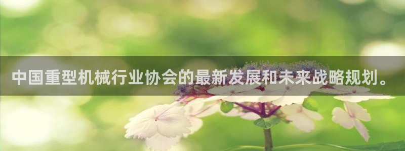 龙八国际城网址