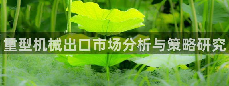 龙八国际优惠券有什么用